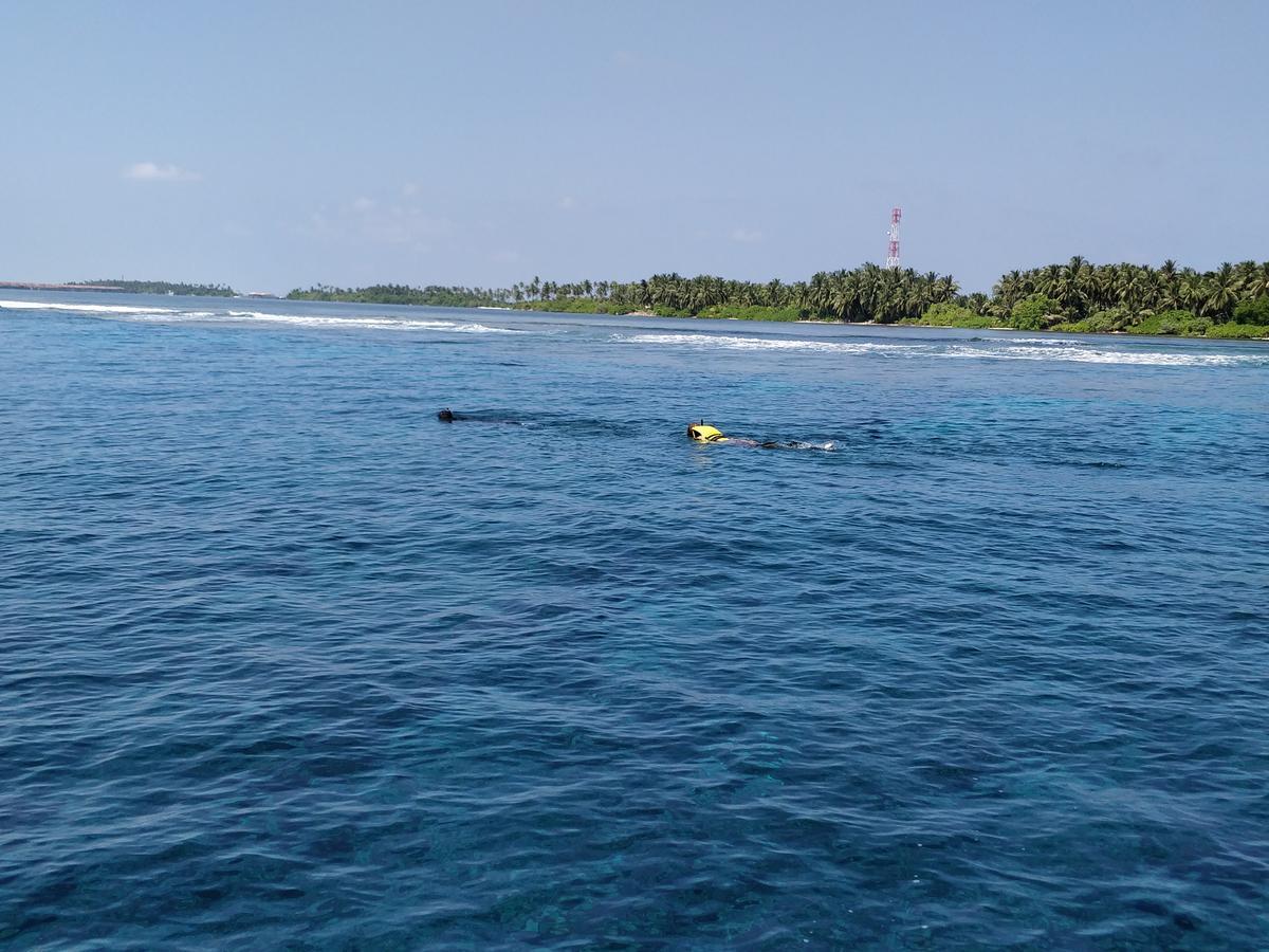 Island Guest Maamendhoo Exterior foto
